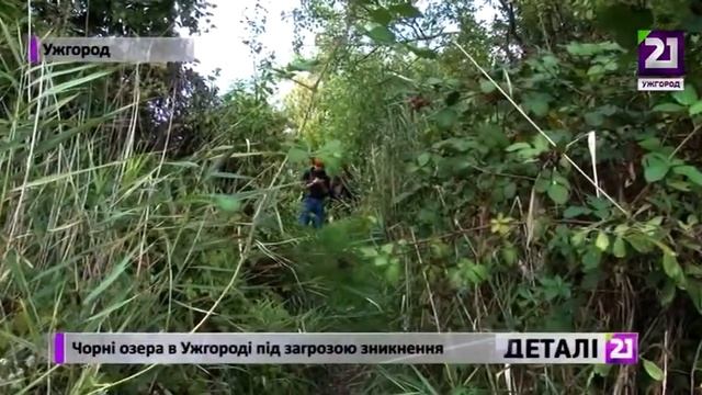 Чорні озера в Ужгороді під загрозою зникнення