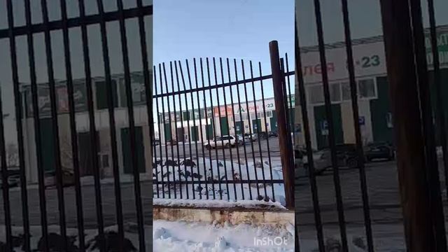 15.02.2025 в магазине Аллея.mp4