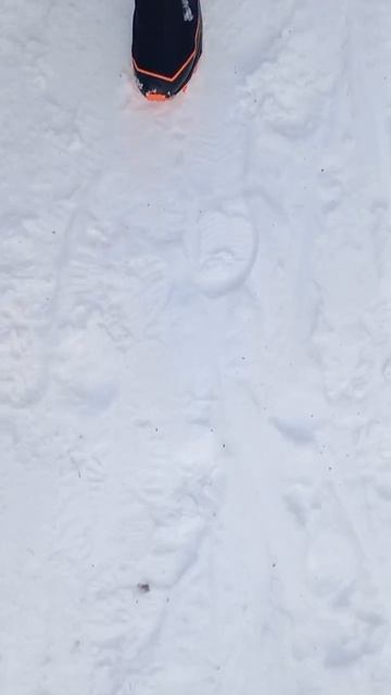 22.02.2025 г., СБ_1-ый тренировочный день моих спортивных выходных 22.02-23.02.2025 г.