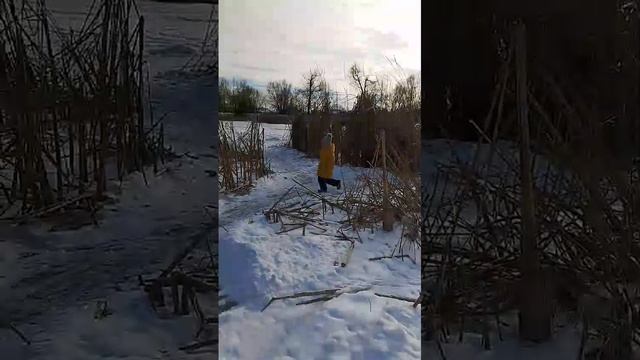 VID-20250222-WA0001