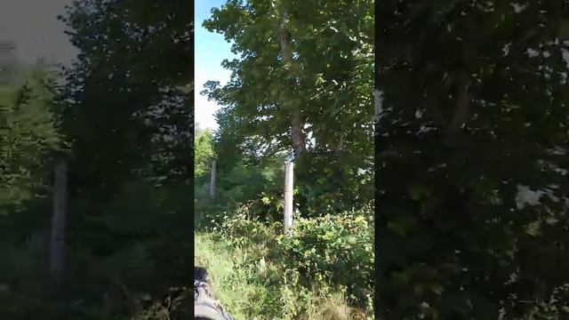 Путь Мой!    21.07.19. Camino de Santiago