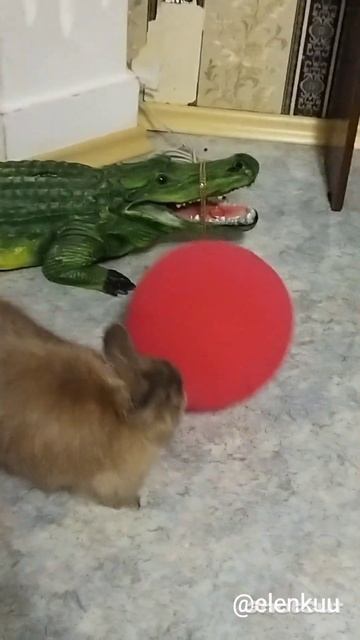 Кролик и воздушный шарик