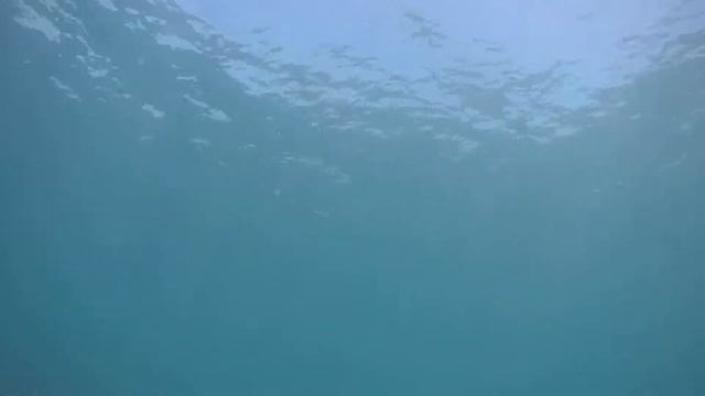 Фридайвинг, Сосновая щель, сентябрь 2016 8