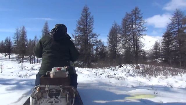К таёжным отшельникам Верхоянских гор. Часть 2. Прогулки по окрестностям и рыбалка по пути.