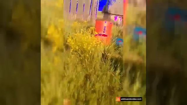 1000023661.mp4