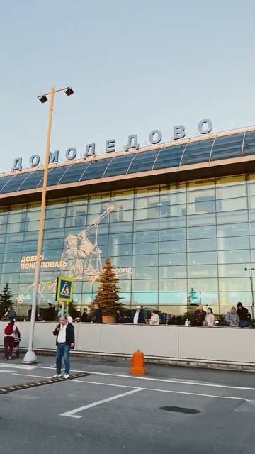 Аэропорт Домодедово #shorts