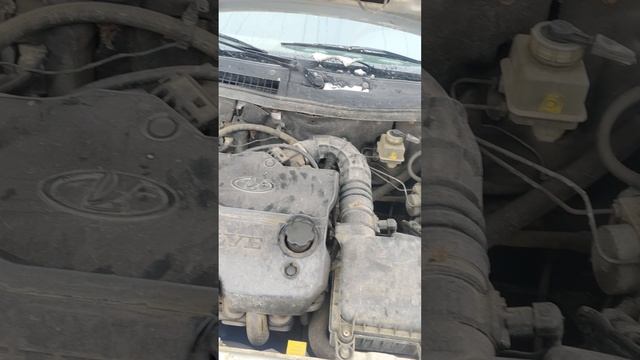 1000129875.mp4