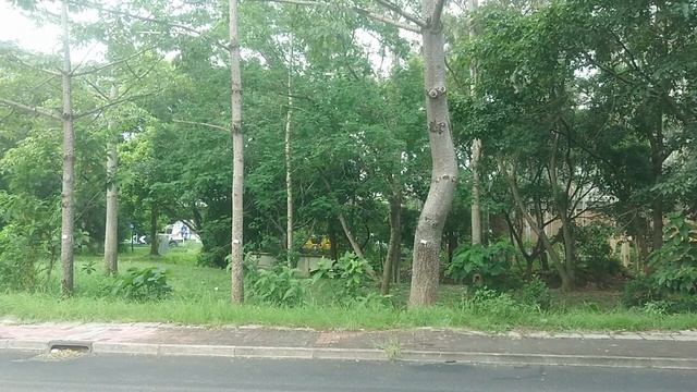（來往福田區既口岸冇哂係乜感覺）新界專線小巴75下灣村總站常規班次（2020年6月24日下午某班）