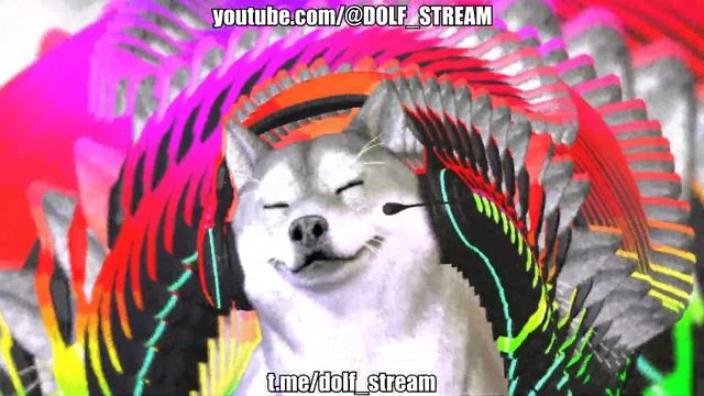 FURRY PHONK DANCE 1 HOUR | MEME | DOLF | DOGE DANCE