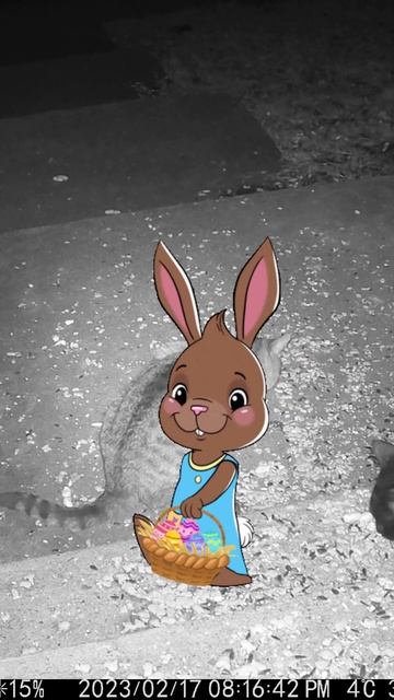A Cute Easter Bunny Visits! #Shorts 🌞