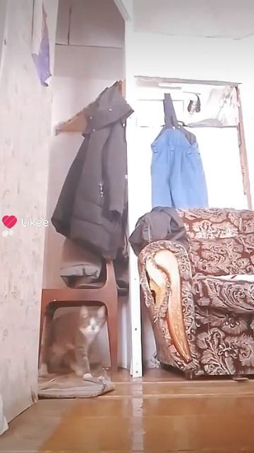1000009735.mp4