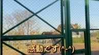 キリンさんの舌は何色?【びっくり】