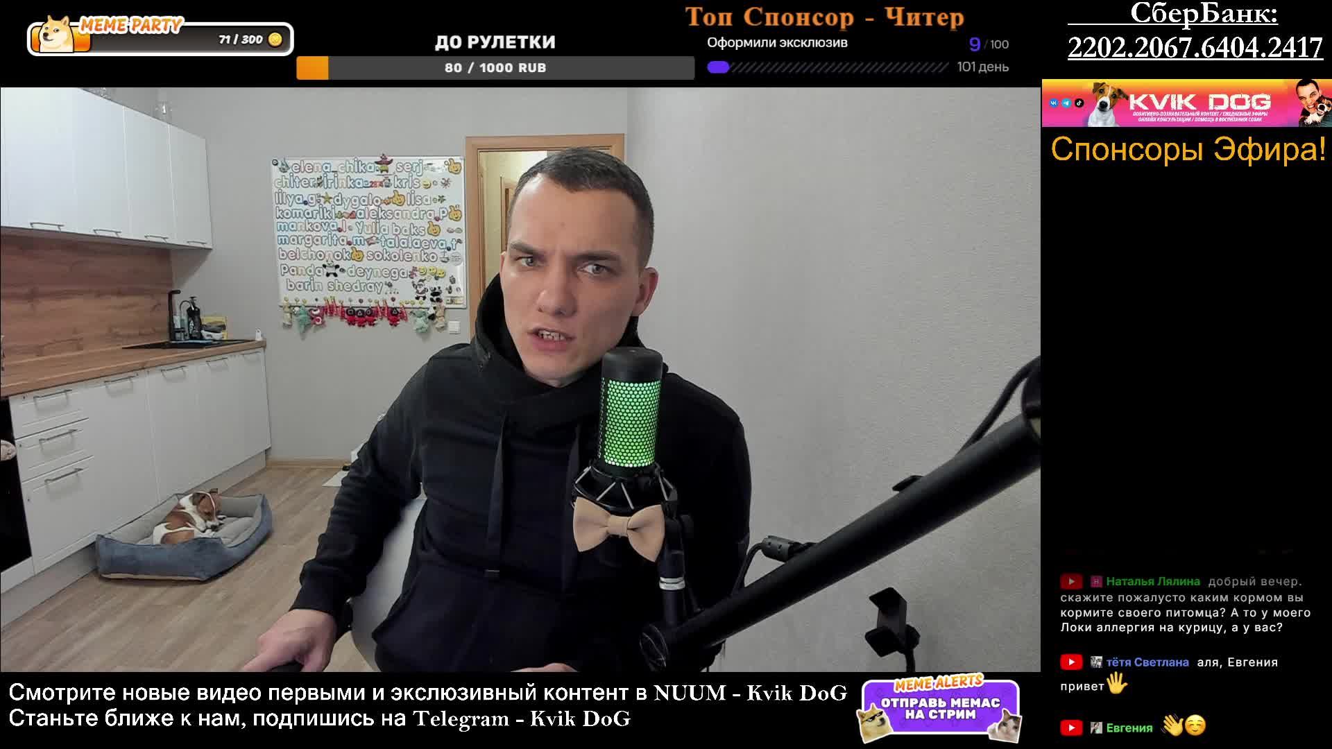 Человек Собаке Друг \ Вечерний Стрим