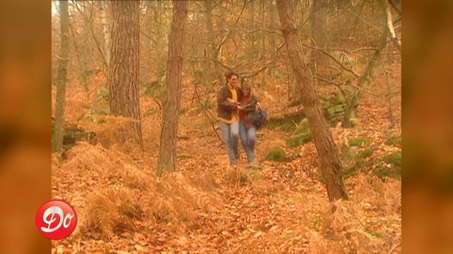 Hélène _ Le miracle de l'amour (Clip officiel)