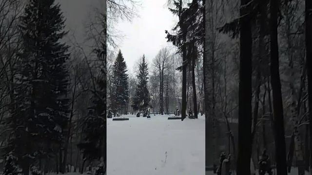 VID-20250221-WA0011