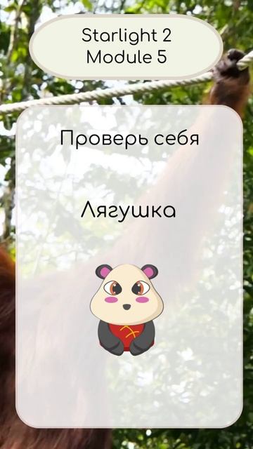 Starlight 2 Module 5, interactive video dictionary