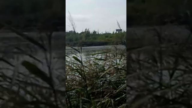 Охота на Утка