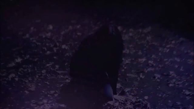 gouverneur with secrets // harry styles german fanfiction