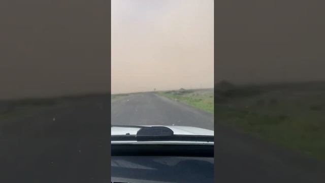 Ужас! Пыльная буря! Пыль везде накрыло!