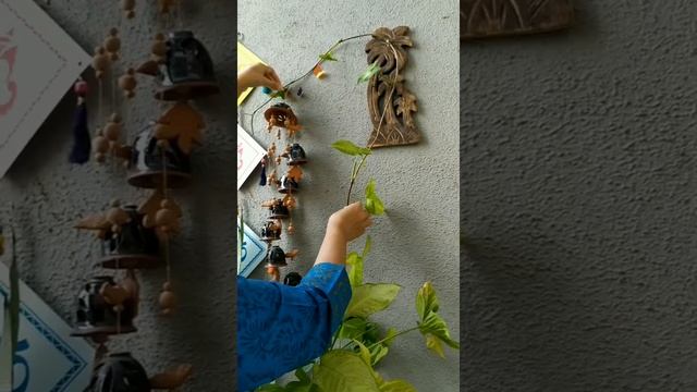 बाल्कनी मराठी व्हिडीओ |My Balcony tour |Indoor |Shade loving plants |Gardening | मराठी बागकाम