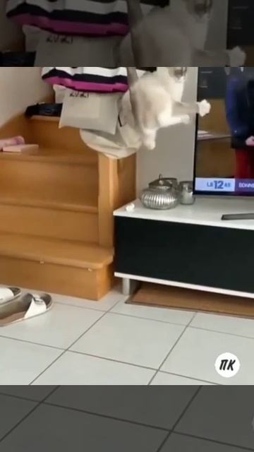 Сердечный приступ