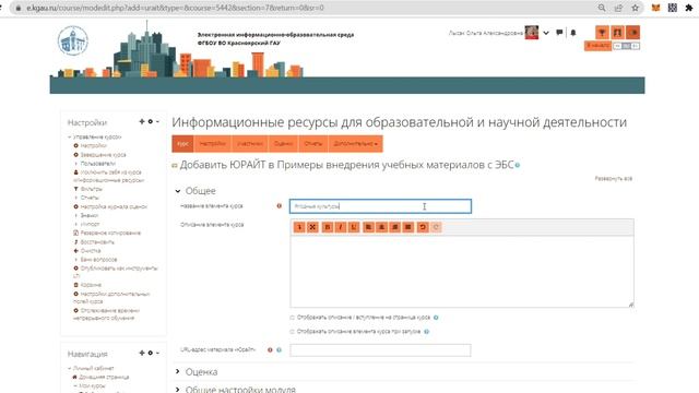 Внедрение источника из Юрайта