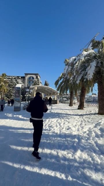 Сказочно-снежная зима в Сочи