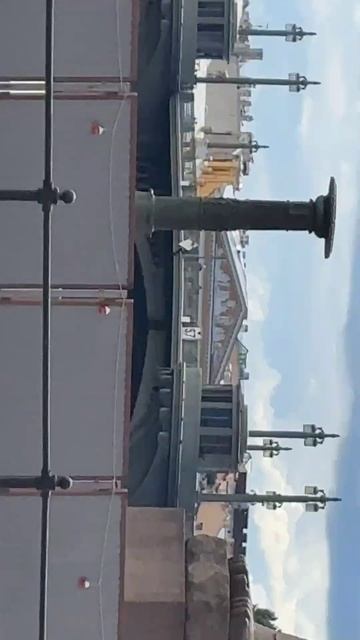 Сфинксы