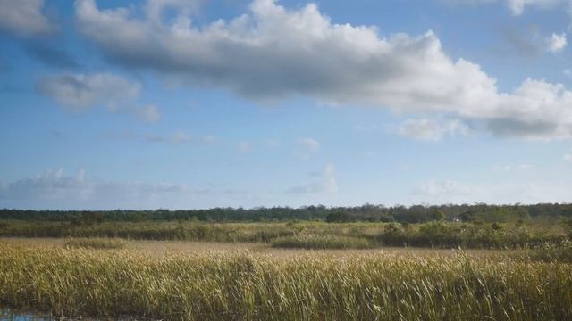 Arthur R. Marshall Loxahatchee National Wildlife Refuge, Boynton Beach, FL - Lumix G7 Cinematic