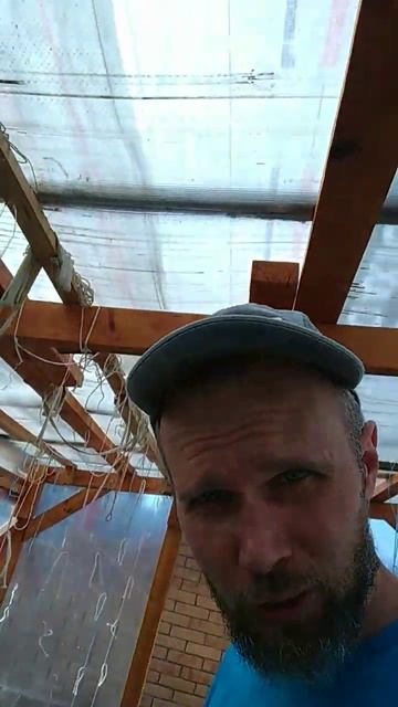 Бог посоветовал "затенить" помидоры в теплице 😁✌️ Новосибирск