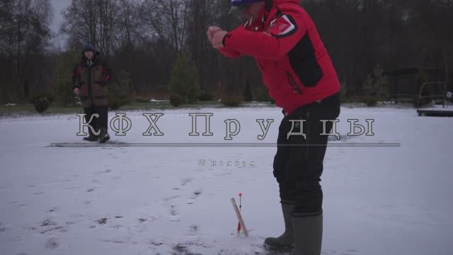 Ловля форели 25 ноября