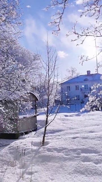Spring in Sweden 🥰❄️ #spring  #sweden #snow  #relaxingvideo #härnösand #health #holiday