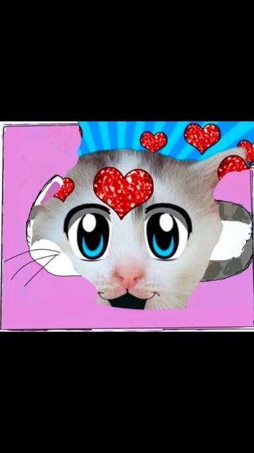 Кошки-мышки а ну-ка давай-ка #shorts #short #котики #анукадавайка