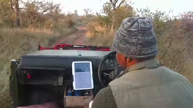 Free Live Virtual Safari Sponsored by the Painteddog.tv Pack | 13 May 2022