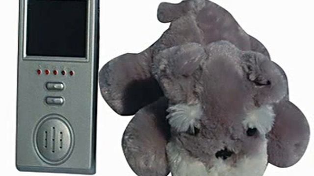 Hidden Surveillance Cameras for Covert Recording Cams