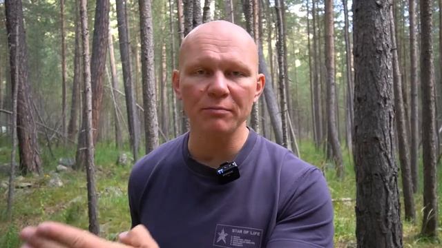 Как выйти из леса, если заблудился. Как не потерять ребёнка и не заблудиться самому.