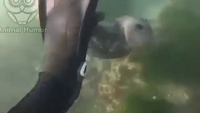 - Хватит снимать, давай играть!