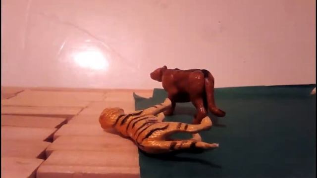 Загадковий великий тигр 🐯