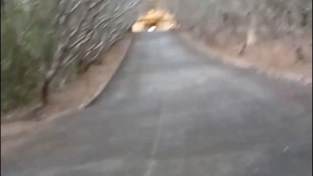 Добредём ли?