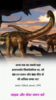 fact about dinosaur 🦖🦖🦖🦖🦖🦕🦕//attraction fact