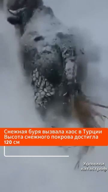 Снежная буря вызвала хаос в Турции