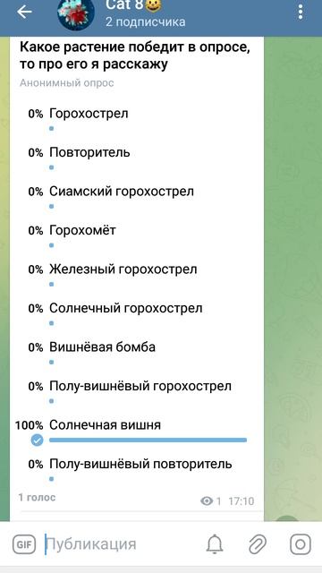 ГОЛОСУЙ! В моём ТГ канале! ссылка в описании