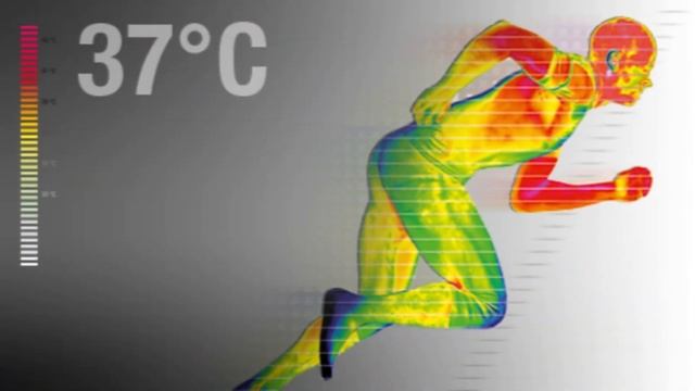 Dấu Hiệu Và Triệu Chứng Của Cơ Thể Hàn Lạnh, Hạ Thân Nhiệt – Hiểu Để Bảo Vệ Sức Khỏe | Vikicare
