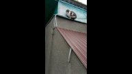 Кот Федя загулял