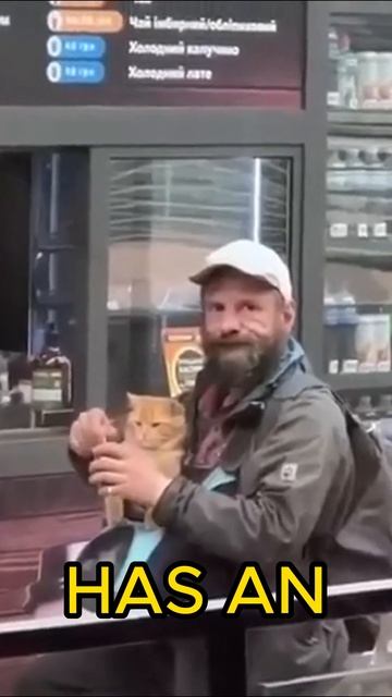 Heartwarming Encounter: Homeless Man's Unbreakable Bond with His Feline Companion