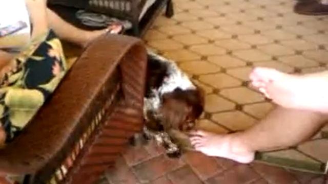 video-2009-08-02-16-13-07
