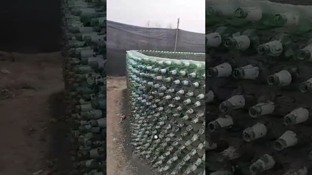 VID-20250222-WA0026