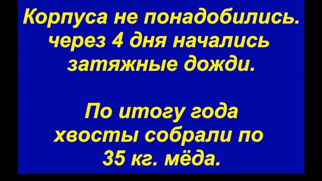 Работа хвостов на 6 июля 2023г