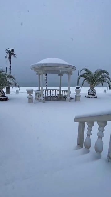 ❄️ Зимняя сказка в Сухуме! ❄️

Сегодня в столице Абхазии выпал первый снег, превратив город в настоя