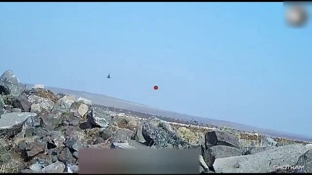 SHOTKAM, KEKLİK AVI VE TAHTALI AVI VURUŞLARI , HUNTING PIGEON, شکار کبوتر , PARTRİDGE HUNT